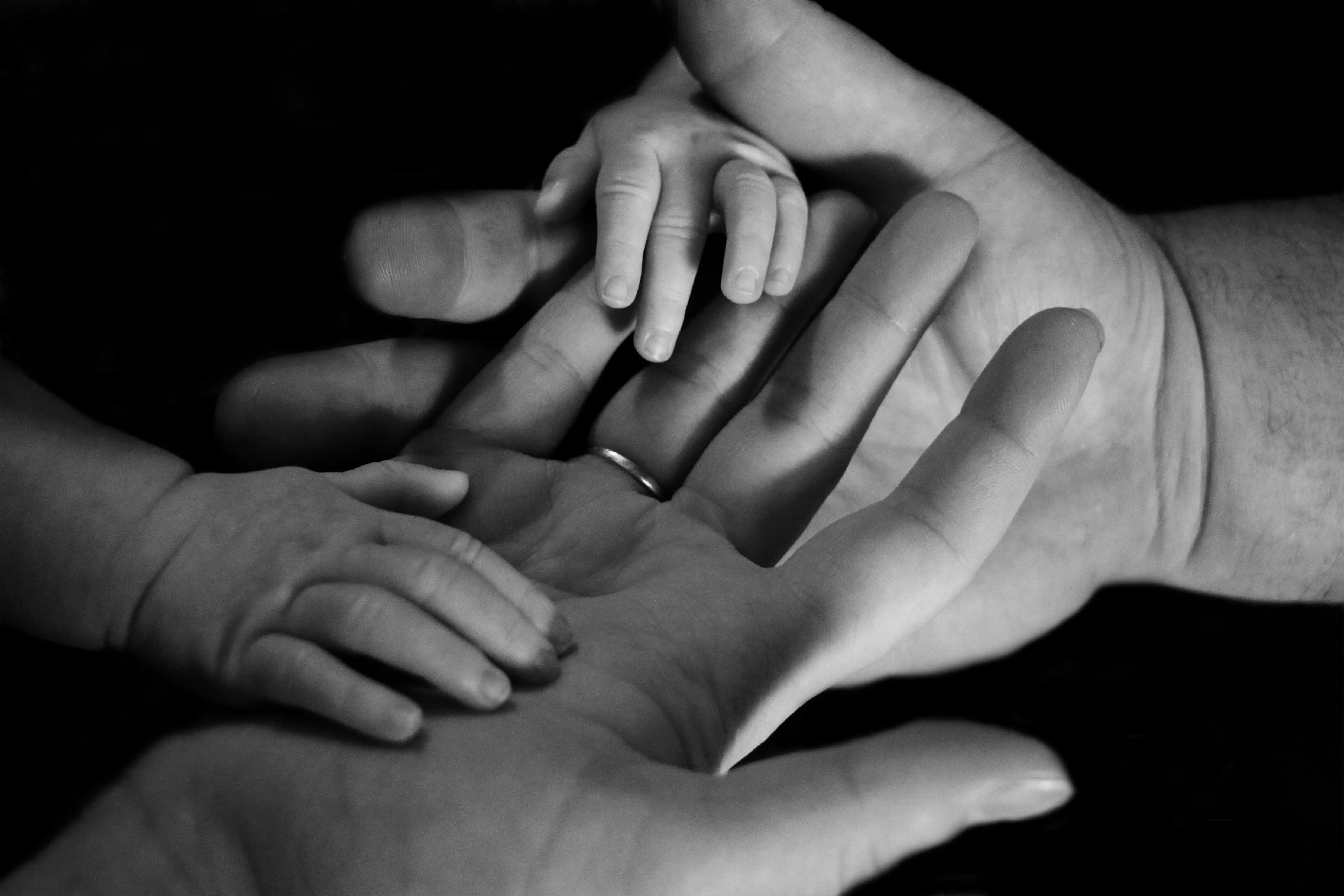 A tiny baby's hand resting in an adult's protective palm in black and white